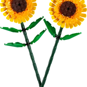 40524 - Tournesols