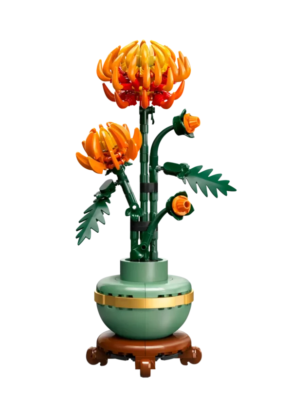 10368 - Le chrysanthème – Image 2