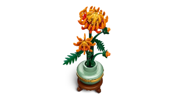 10368 - Le chrysanthème – Image 3